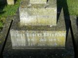 image of grave number 206518